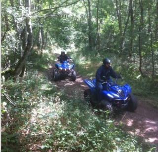  Cuatrimoto en el bosque 